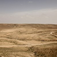 пустыня. :: gennadi ren