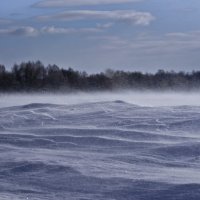 И поземкою клубя, заметает зима, заметает... :: Владимир ЯЩУК