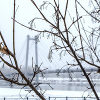 Вид на Виноградовский :: Виктория Большагина