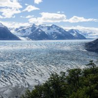 Ледник Грей :: Irina Shtukmaster