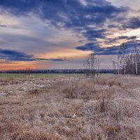 Поле... :: Валера39 Василевский.