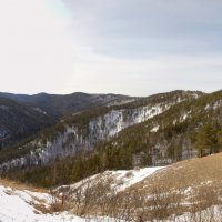 НА столбах :: Михаил Барамович