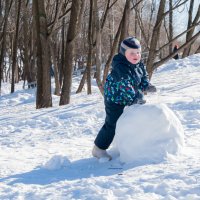 Снежные забавы :: Дарья Наумова