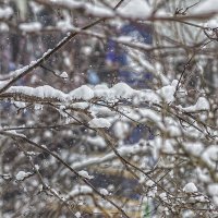 снег идет :: Елена Баландина