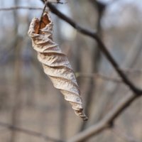 Весенние утро. :: Соколов Сергей Васильевич 