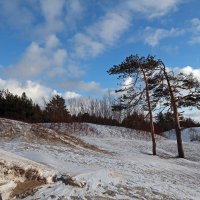 Северодвинск. Весна. Белое море. Дюны :: Владимир Шибинский