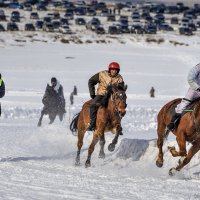 Новоселово - 2015 :: Sergey Yatmasov