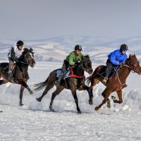 Новоселово - 2015 :: Sergey Yatmasov