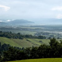 Карпатские зарисовки. :: Николай Сидаш