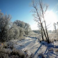 зимний денек :: лена григорьева