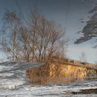 отражение здания :: Алёна Ельцова