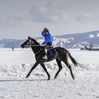 Новоселово - 2015 :: Sergey Yatmasov