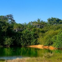 озерцо в тропическом лесу :: Тамара 