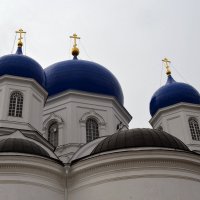 Купола Свято-Боголюбского женского монастыря :: Николай Варламов