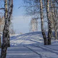 1 апреля... может, весна так шутит.... :: Елена Баландина