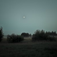 Луна всходит :: Анна (Анка) Салтыкова