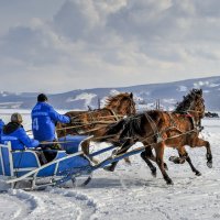 Новоселово - 2015 :: Sergey Yatmasov