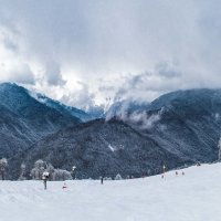 Красная Поляна :: Алексей Сазонов