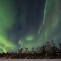 Aurora Borealis :: Сергей Бушуев