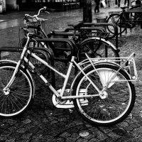 Bicycle ( велосипед) :: Liudmila Grinfeld 