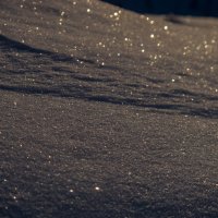 Снег. :: Алексей Сараев