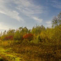 У дороги. В пастельных тонах :: Эдуард Малец