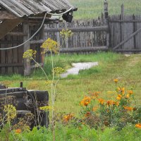 Щурово городище :: Галина 