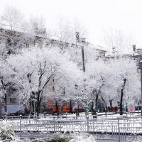 Белый снег :: Эдуард Малец