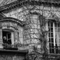 Окна и стены :: Alexey Romanenko