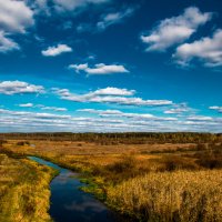 Осиповичский край :: Александр Барановский