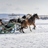 Новоселово - 2015 :: Sergey Yatmasov