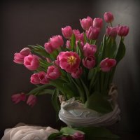 Симфония тюльпанов :: Natali K