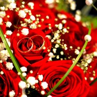 Свадебные кольца :: Регина Троценко