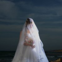 свадебное фото :: vladimir Umrihin