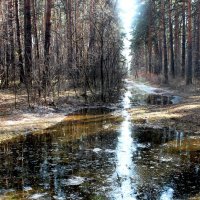 Море разливанное :: Александр Садовский