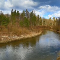 Лесная речка :: Сергей *