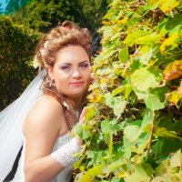 Wedding :: Ирина Митрофанова студия Мона Лиза