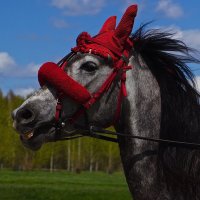 Мадам Же Фари :: Вера Ведерникова