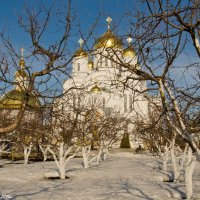 Сад перед Преображенским собором. :: Виктор Евстратов