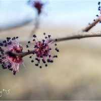 spring :: yameug _