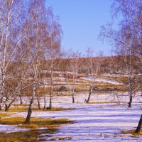 Пригревает. :: Валентина Налетова