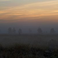 На рассвете... :: Юрий Цыплятников