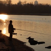 Золотой закат :: Анна 