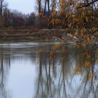 Осень над рекой :: Елена Даньшина