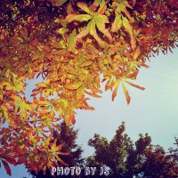 Осень :: JS PhotoCompany