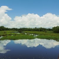 и неба синь, и гладь воды :: Татьяна Ларина