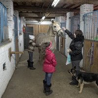 Знакомство :: Вячеслав Лымарь