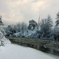 На предзимье... :: Александр | Матвей БЕЛЫЙ