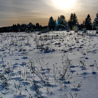 Зимний вечер. :: Анатолий Борисов