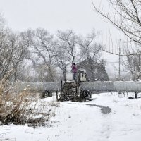 Весенний снег с дождем :: Наталья Сергеевна